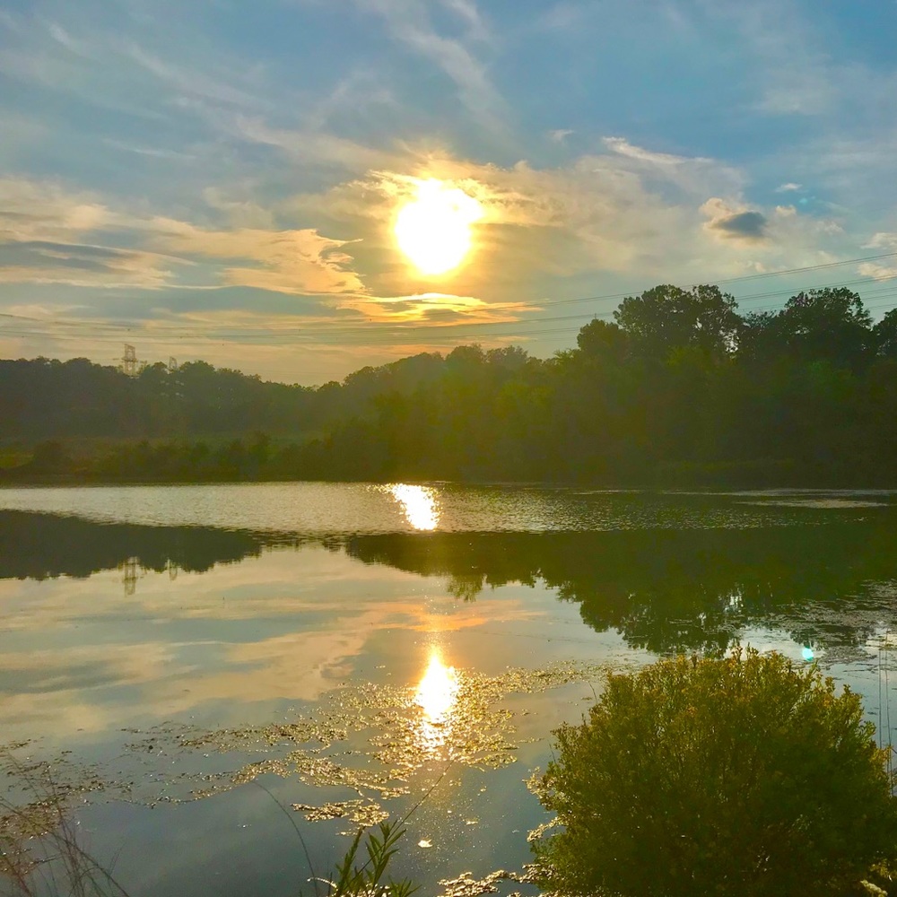 Meet your Posher, Angie - Picture 7 of 14